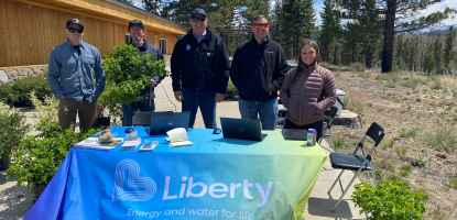 Arbor Day Tree Giveaway